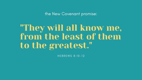 the new covenant promise
