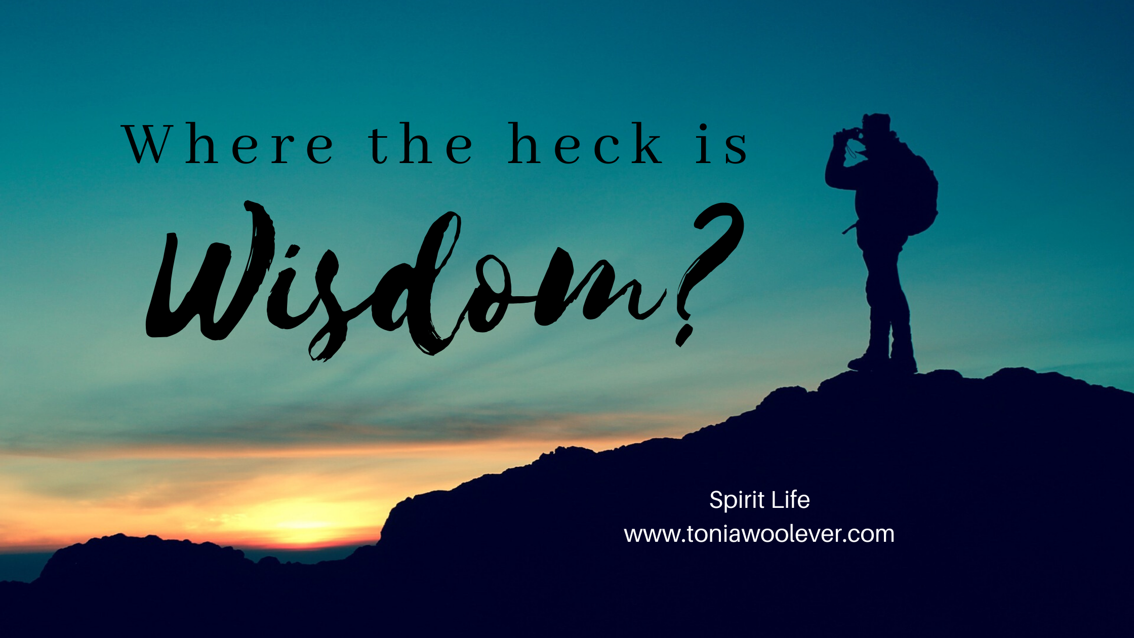 Where is wisdom?