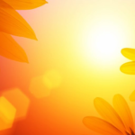 sunburst bokeh with petals yellow