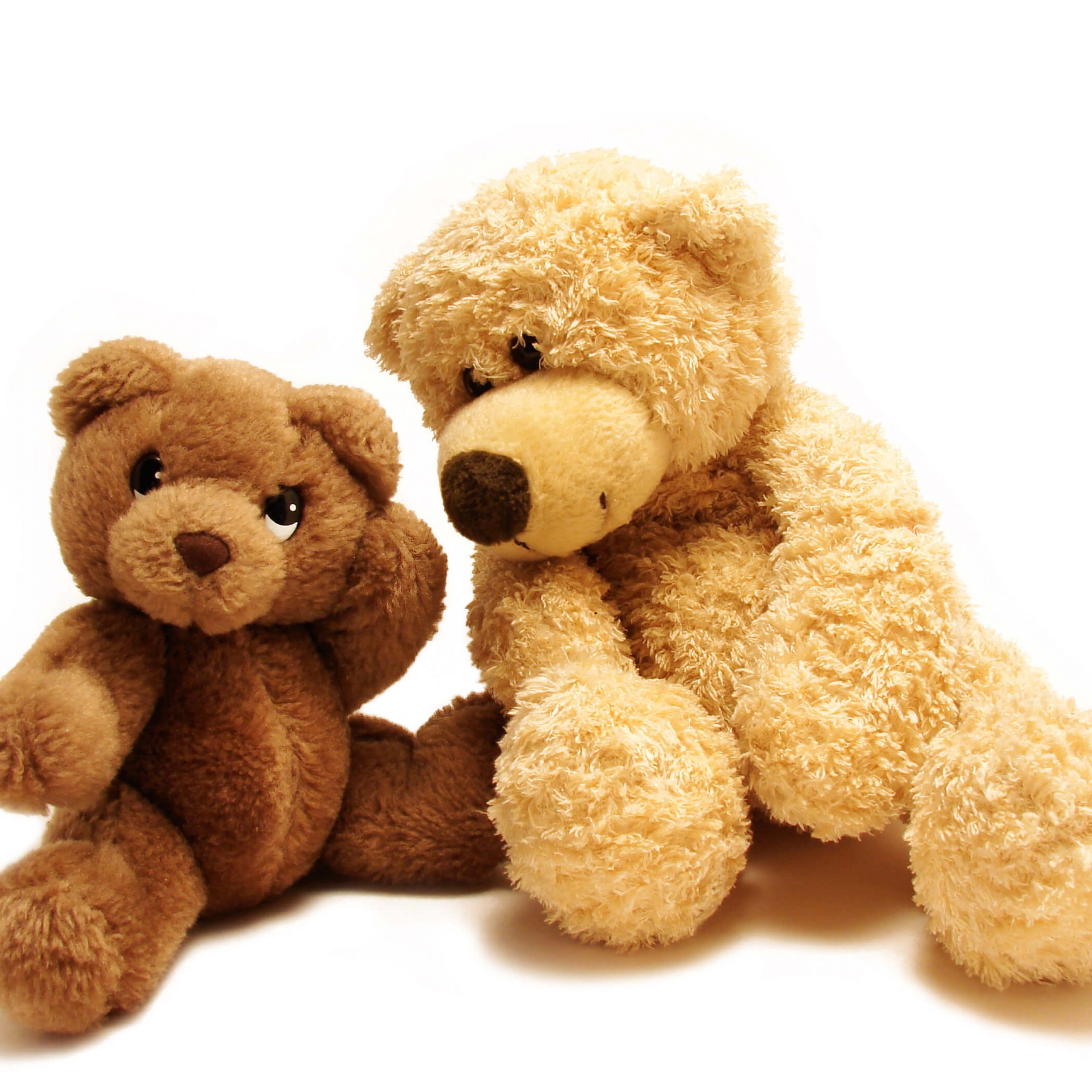 little teddy bear listens to advice of bigger teddy bear