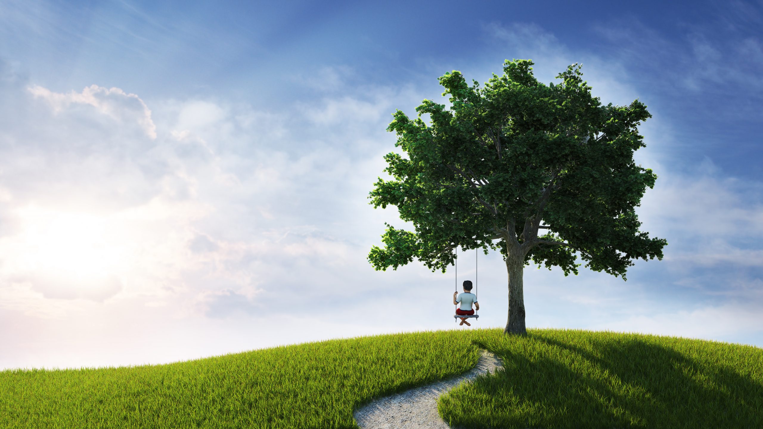 boy swings from tree on hill