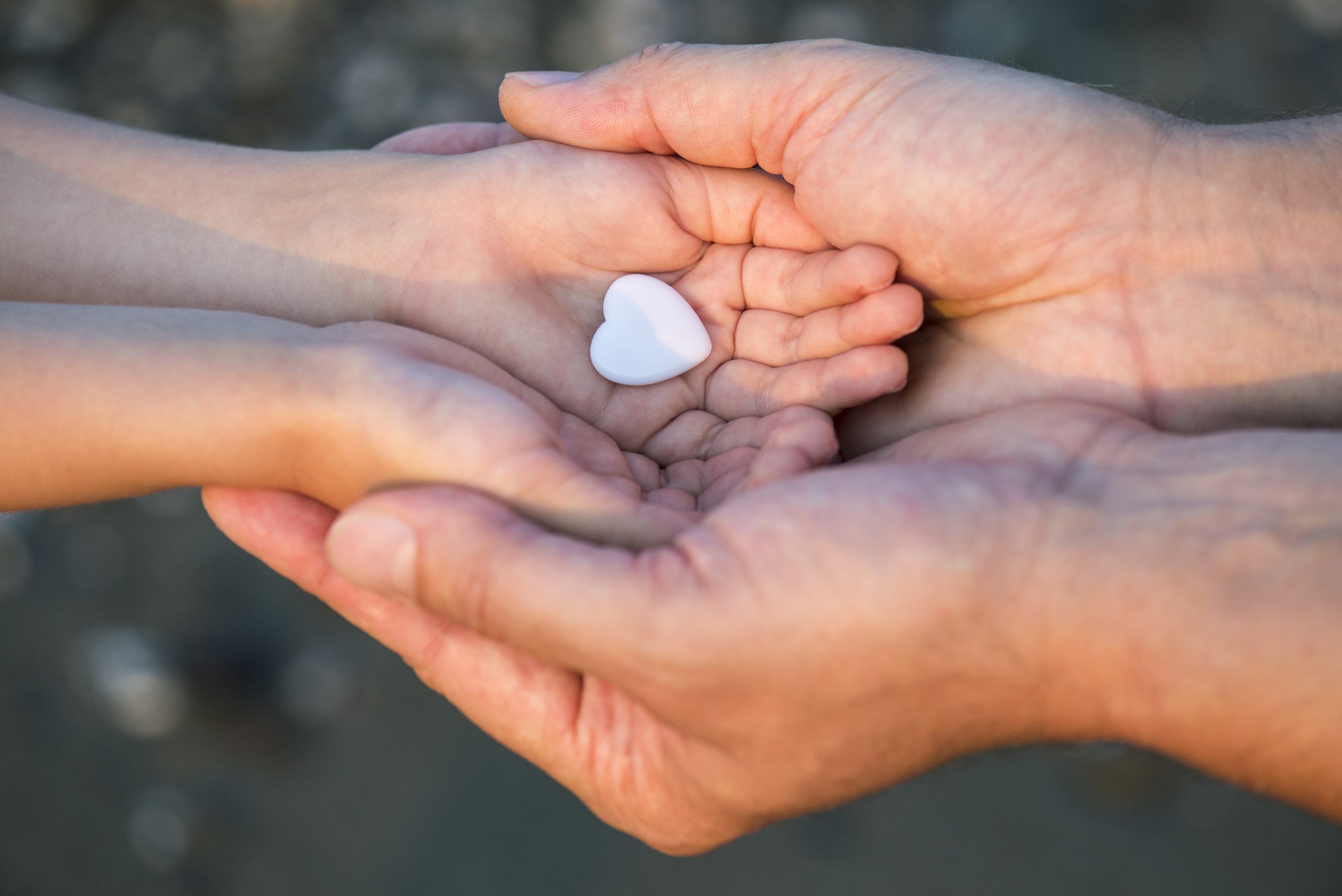 hands hold hands holding a heart