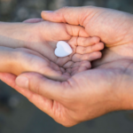 AdobeStock_78891982-scaled-3