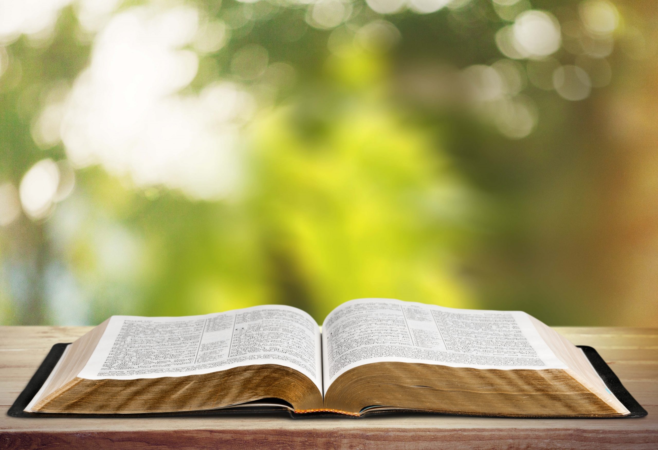 Bible on wood deck