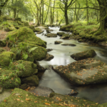 when life isn't abundant