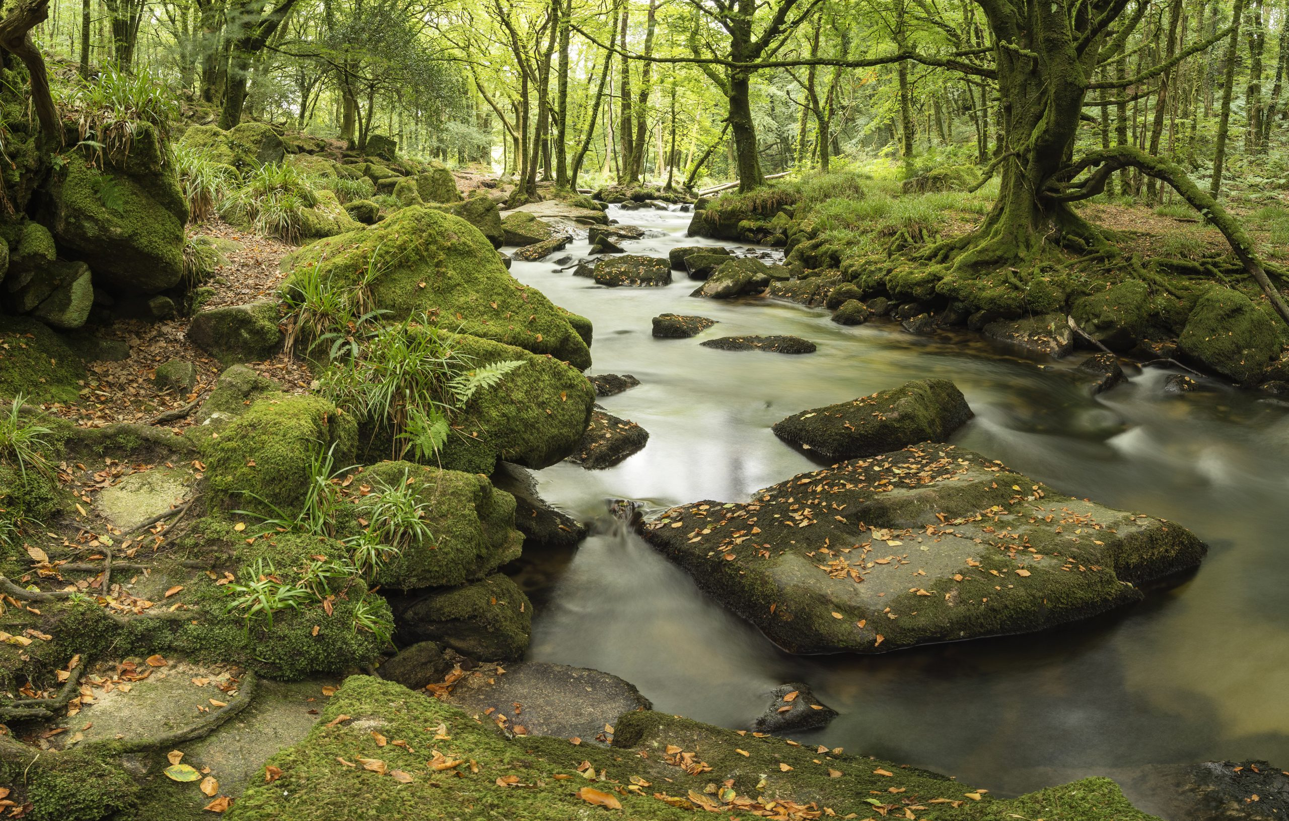 when life isn't abundant