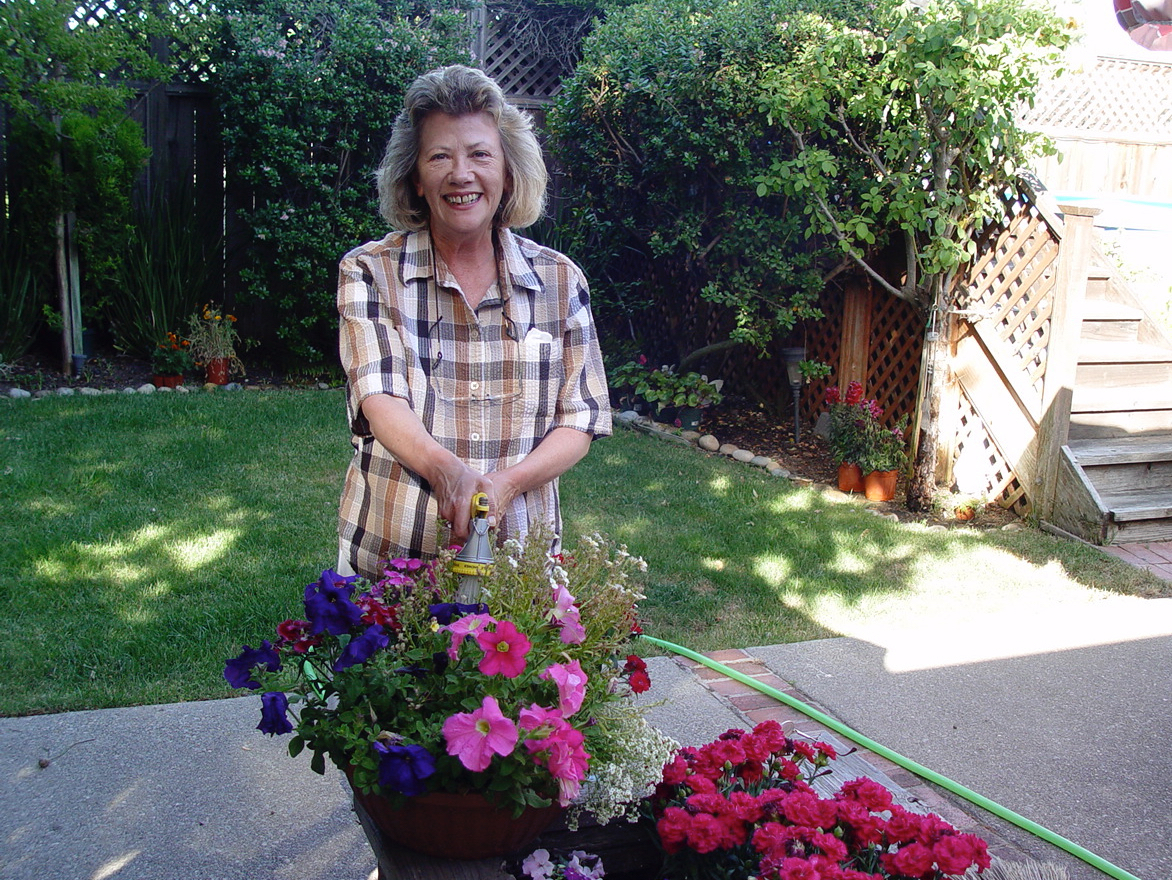 Watering petunias