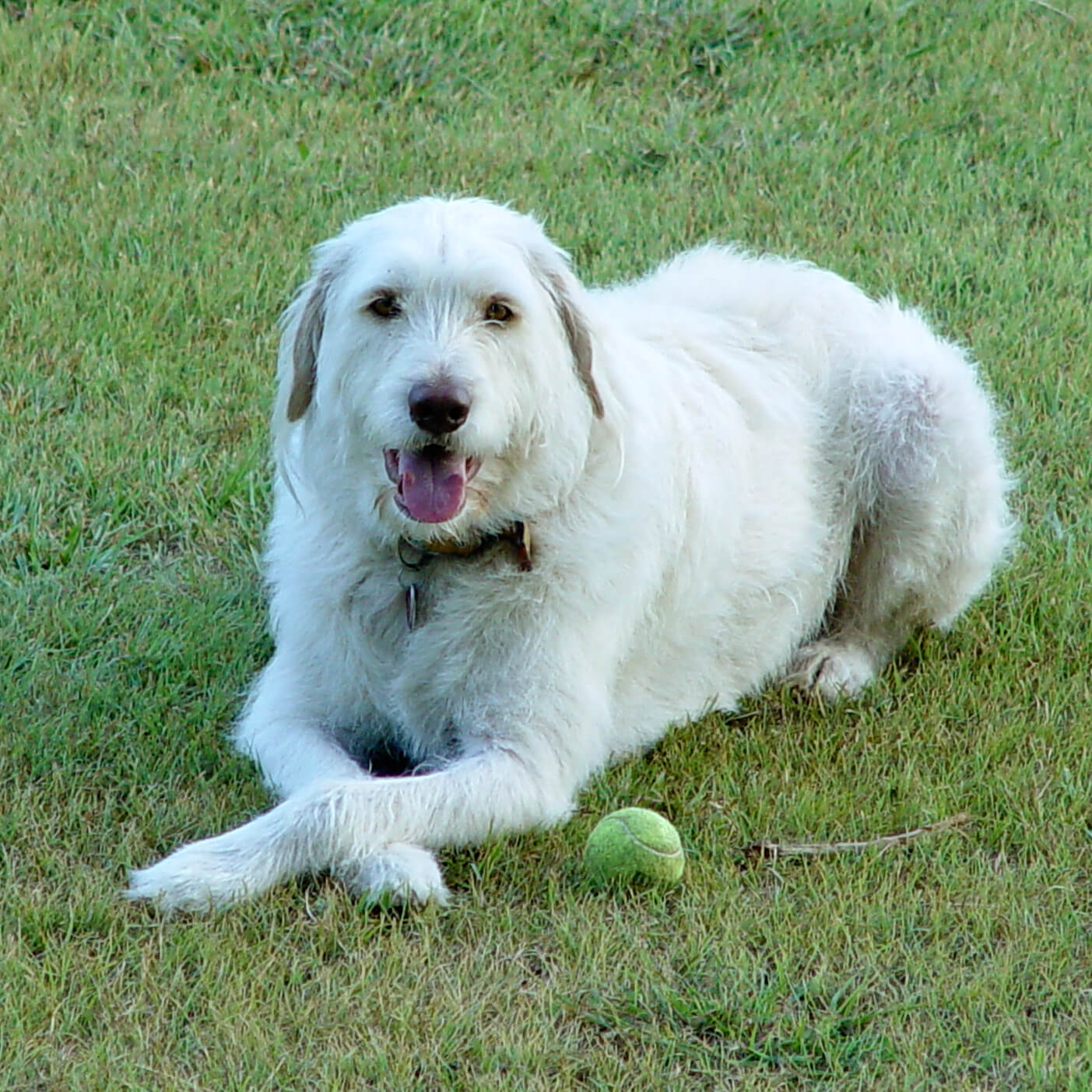 Dude waits for a ball throw