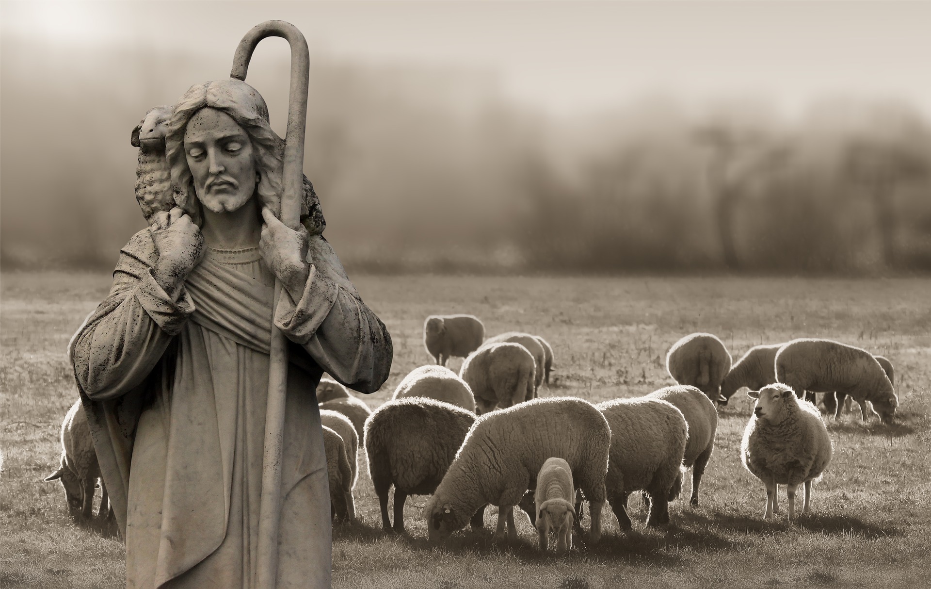 Shepherd and sheep