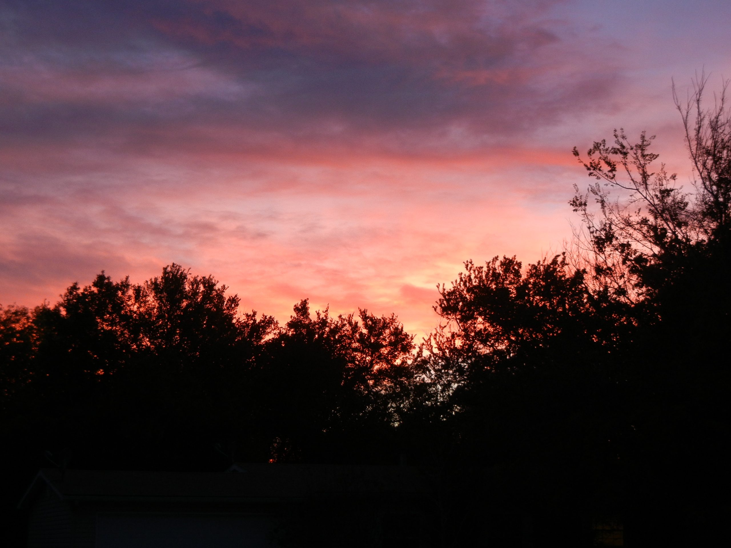 Just The Two Of Us, Father Says