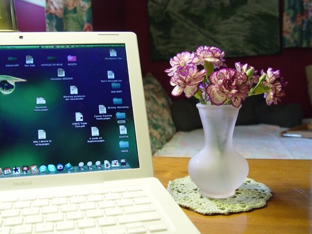 Toni desk flowers