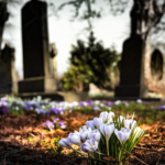 graveyard-1417871_1920.webp