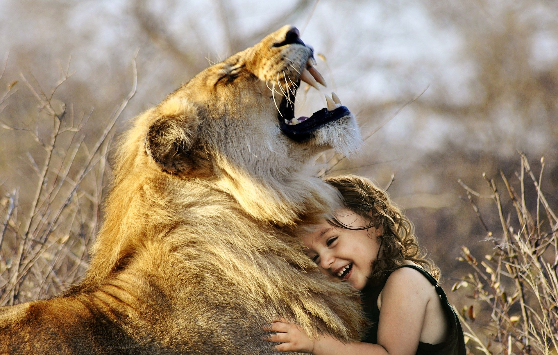 lion hugged by girl